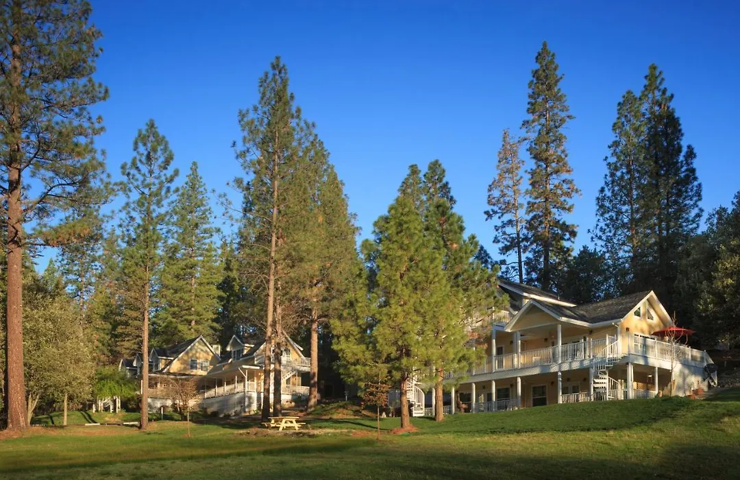Blackberry Inn At Yosemite-1